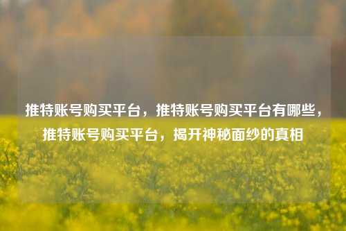 推特账号购买平台，推特账号购买平台有哪些，推特账号购买平台，揭开神秘面纱的真相