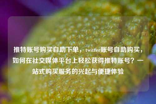 推特账号购买自助下单，twitter账号自助购买，如何在社交媒体平台上轻松获得推特账号？一站式购买服务的兴起与便捷体验
