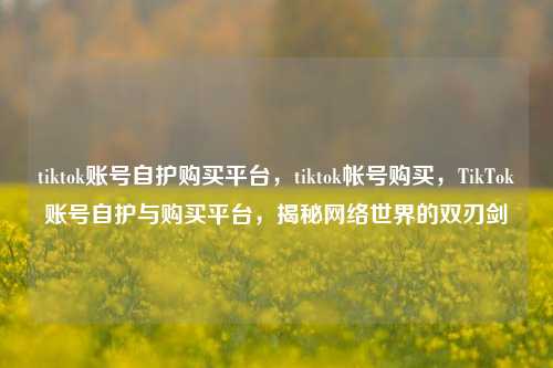 tiktok账号自护购买平台，tiktok帐号购买，TikTok账号自护与购买平台，揭秘网络世界的双刃剑