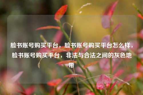 脸书账号购买平台，脸书账号购买平台怎么样，脸书账号购买平台，非法与合法之间的灰色地带  第1张