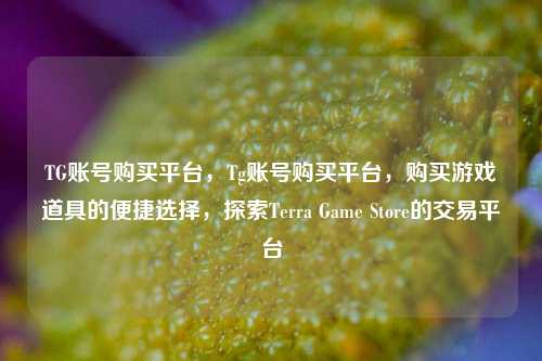 TG账号购买平台，Tg账号购买平台，购买游戏道具的便捷选择，探索Terra Game Store的交易平台