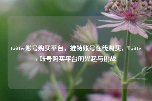 twitter账号购买平台，推特账号在线购买，Twitter 账号购买平台的兴起与挑战