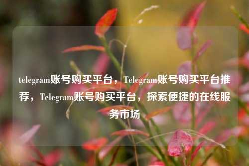 telegram账号购买平台，Telegram账号购买平台推荐，Telegram账号购买平台，探索便捷的在线服务市场