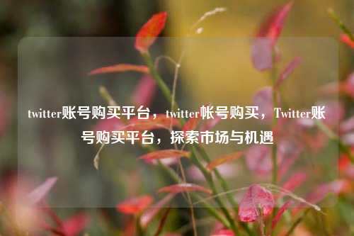 twitter账号购买平台，twitter帐号购买，Twitter账号购买平台	，探索市场与机遇  第1张