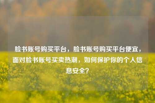 脸书账号购买平台，脸书账号购买平台便宜，面对脸书账号买卖热潮，如何保护你的个人信息安全？