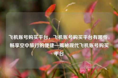 飞机账号购买平台，飞机账号购买平台有哪些，畅享空中旅行的便捷—揭秘现代飞机账号购买平台