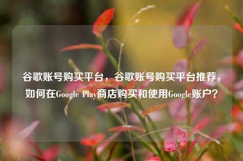 谷歌账号购买平台，谷歌账号购买平台推荐，如何在Google Play商店购买和使用Google账户？