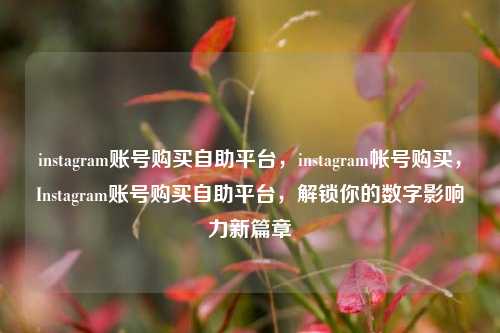 instagram账号购买自助平台，instagram帐号购买，Instagram账号购买自助平台，解锁你的数字影响力新篇章