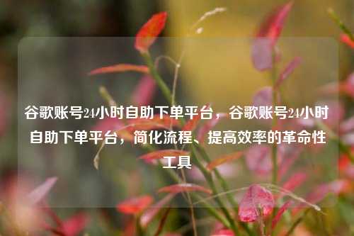 谷歌账号24小时自助下单平台，谷歌账号24小时自助下单平台，简化流程、提高效率的革命性工具