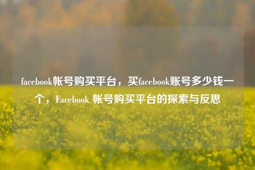 facebook帐号购买平台，买facebook账号多少钱一个，Facebook 帐号购买平台的探索与反思