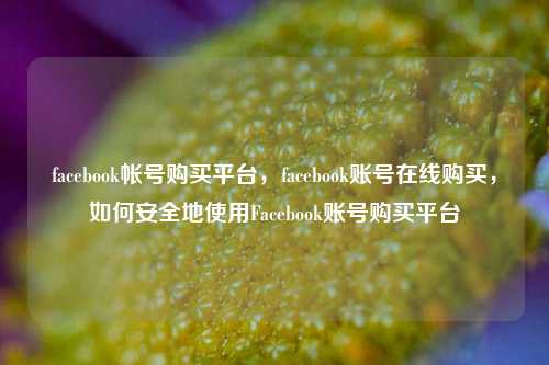 facebook帐号购买平台，facebook账号在线购买，如何安全地使用Facebook账号购买平台