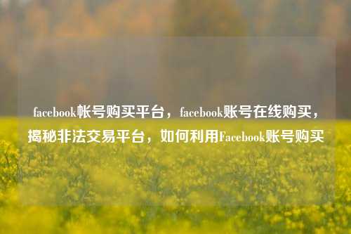 facebook帐号购买平台，facebook账号在线购买，揭秘非法交易平台，如何利用Facebook账号购买