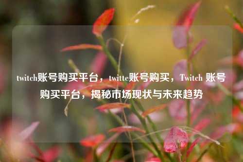 twitch账号购买平台，twitte账号购买，Twitch 账号购买平台，揭秘市场现状与未来趋势