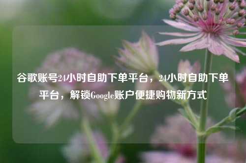 谷歌账号24小时自助下单平台，24小时自助下单平台，解锁Google账户便捷购物新方式