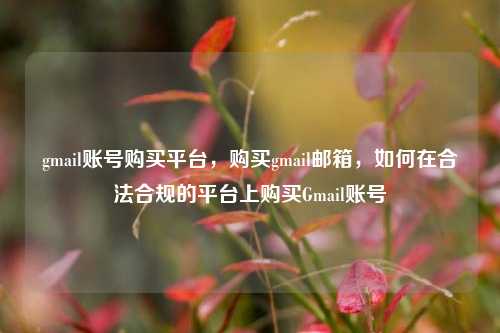 gmail账号购买平台	，购买gmail邮箱，如何在合法合规的平台上购买Gmail账号  第1张