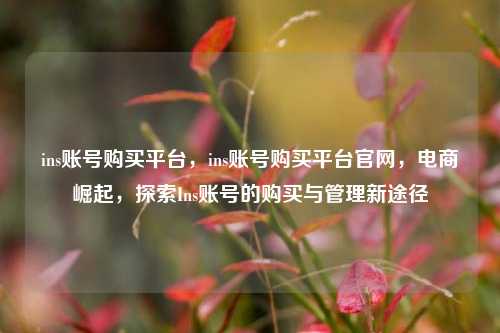 ins账号购买平台，ins账号购买平台官网，电商崛起，探索Ins账号的购买与管理新途径