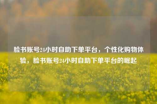 脸书账号24小时自助下单平台，个性化购物体验，脸书账号24小时自助下单平台的崛起