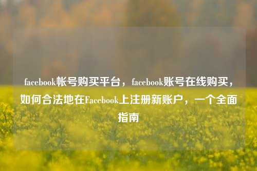 facebook帐号购买平台	，facebook账号在线购买，如何合法地在Facebook上注册新账户，一个全面指南  第1张