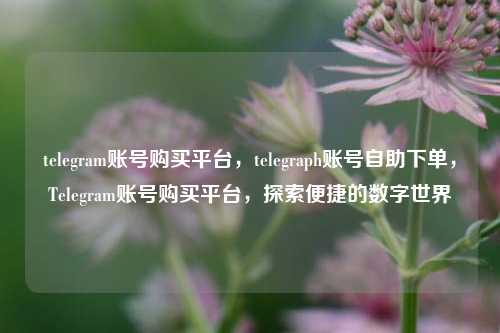 telegram账号购买平台，telegraph账号自助下单，Telegram账号购买平台，探索便捷的数字世界
