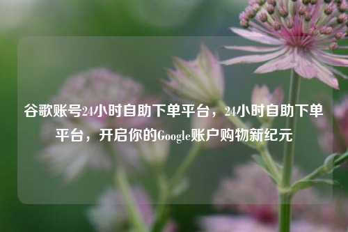 谷歌账号24小时自助下单平台，24小时自助下单平台，开启你的Google账户购物新纪元