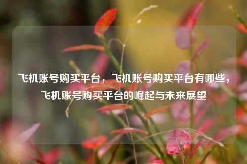 飞机账号购买平台，飞机账号购买平台有哪些，飞机账号购买平台的崛起与未来展望