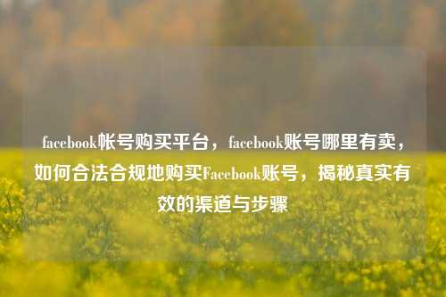 facebook帐号购买平台，facebook账号哪里有卖，如何合法合规地购买Facebook账号，揭秘真实有效的渠道与步骤