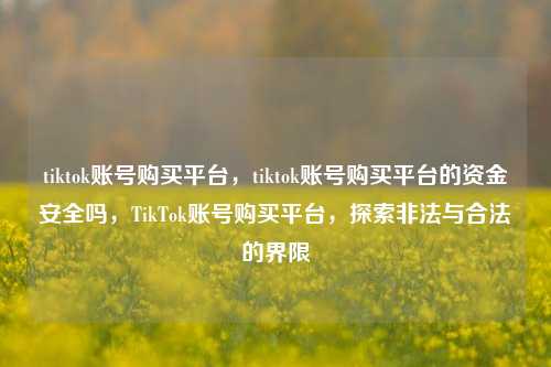 tiktok账号购买平台，tiktok账号购买平台的资金安全吗，TikTok账号购买平台，探索非法与合法的界限