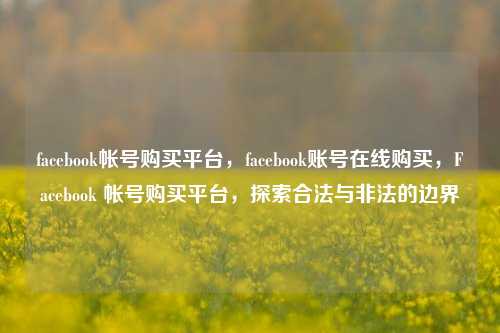 facebook帐号购买平台，facebook账号在线购买，Facebook 帐号购买平台，探索合法与非法的边界