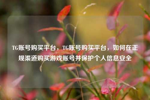 TG账号购买平台，TG账号购买平台，如何在正规渠道购买游戏账号并保护个人信息安全