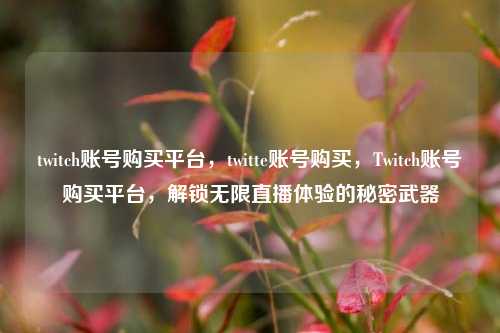 twitch账号购买平台，twitte账号购买，Twitch账号购买平台，解锁无限直播体验的秘密武器