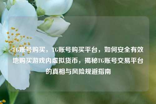 TG账号购买，TG账号购买平台，如何安全有效地购买游戏内虚拟货币，揭秘TG账号交易平台的真相与风险规避指南