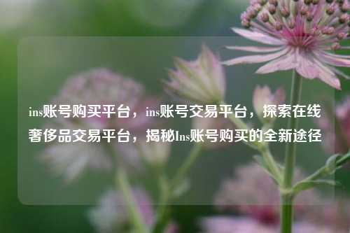 ins账号购买平台，ins账号交易平台，探索在线奢侈品交易平台，揭秘Ins账号购买的全新途径