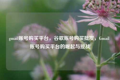 gmail账号购买平台，谷歌账号购买批发，Gmail 账号购买平台的崛起与挑战