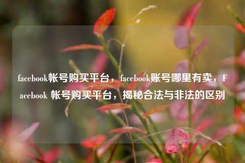 facebook帐号购买平台，facebook账号哪里有卖，Facebook 帐号购买平台，揭秘合法与非法的区别