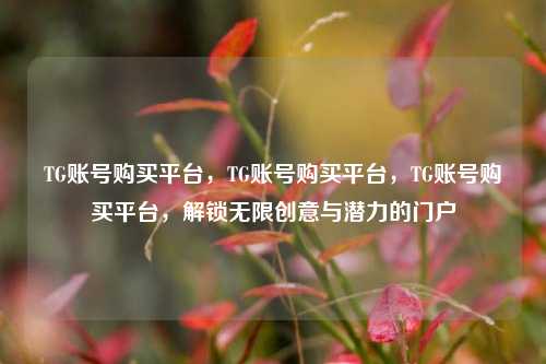 TG账号购买平台，TG账号购买平台，TG账号购买平台，解锁无限创意与潜力的门户