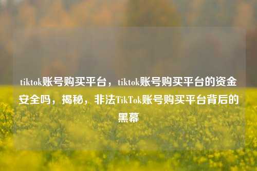 tiktok账号购买平台，tiktok账号购买平台的资金安全吗，揭秘，非法TikTok账号购买平台背后的黑幕