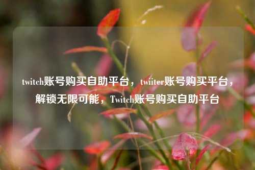 twitch账号购买自助平台，twiiter账号购买平台，解锁无限可能，Twitch账号购买自助平台