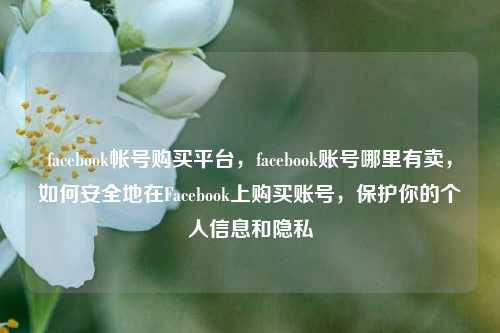 facebook帐号购买平台，facebook账号哪里有卖，如何安全地在Facebook上购买账号，保护你的个人信息和隐私