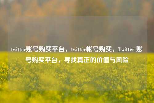 twitter账号购买平台，twitter帐号购买，Twitter 账号购买平台，寻找真正的价值与风险