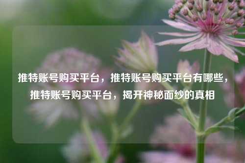 推特账号购买平台，推特账号购买平台有哪些，推特账号购买平台	，揭开神秘面纱的真相  第1张