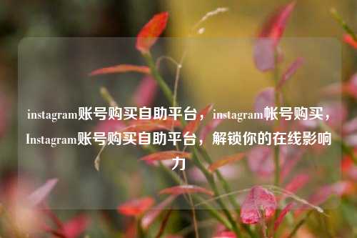 instagram账号购买自助平台，instagram帐号购买，Instagram账号购买自助平台，解锁你的在线影响力