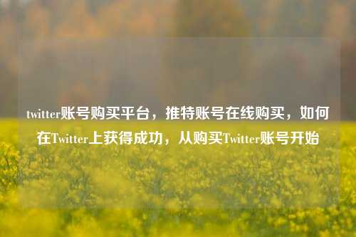 twitter账号购买平台，推特账号在线购买，如何在Twitter上获得成功，从购买Twitter账号开始