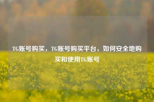 TG账号购买，TG账号购买平台	，如何安全地购买和使用TG账号  第1张