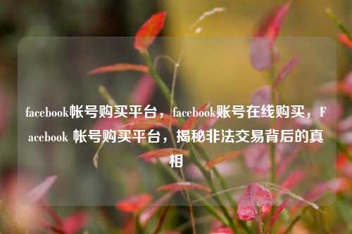 facebook帐号购买平台，facebook账号在线购买，Facebook 帐号购买平台，揭秘非法交易背后的真相