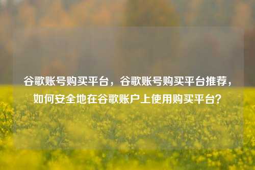 谷歌账号购买平台，谷歌账号购买平台推荐，如何安全地在谷歌账户上使用购买平台？