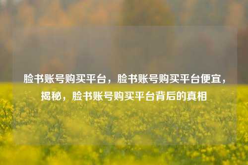 脸书账号购买平台，脸书账号购买平台便宜，揭秘，脸书账号购买平台背后的真相