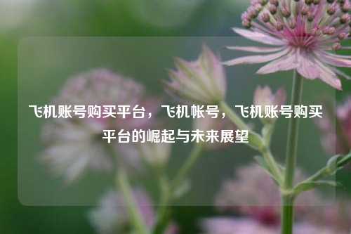 飞机账号购买平台，飞机帐号，飞机账号购买平台的崛起与未来展望  第1张