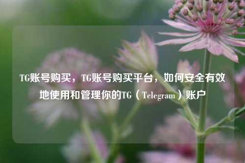 TG账号购买，TG账号购买平台，如何安全有效地使用和管理你的TG（Telegram）账户
