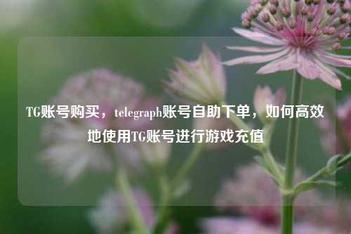 TG账号购买，telegraph账号自助下单，如何高效地使用TG账号进行游戏充值