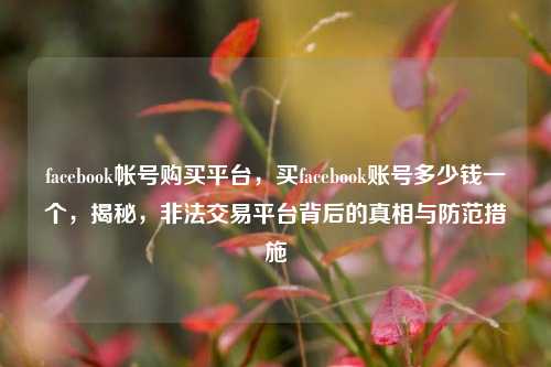 facebook帐号购买平台，买facebook账号多少钱一个，揭秘，非法交易平台背后的真相与防范措施